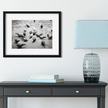 Pigeons in Palermo Art Print Buenos Aires Argentina -