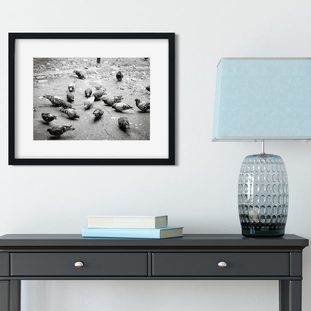 Pigeons in Palermo Art Print Buenos Aires Argentina -