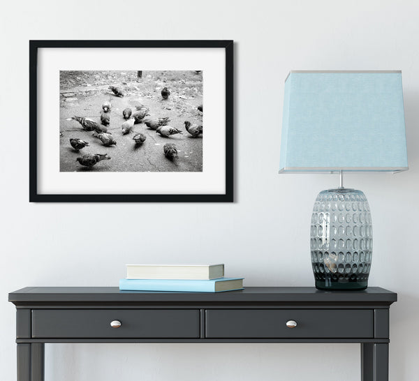 Pigeons in Palermo Art Print Buenos Aires Argentina -