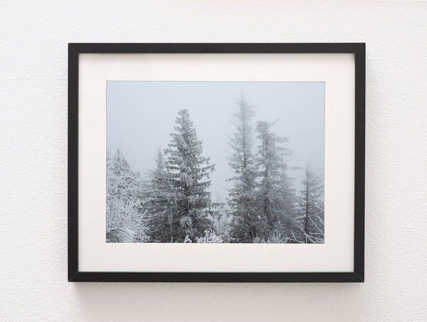 Snowy Winter Forest Photo Print Idaho Nature Photography