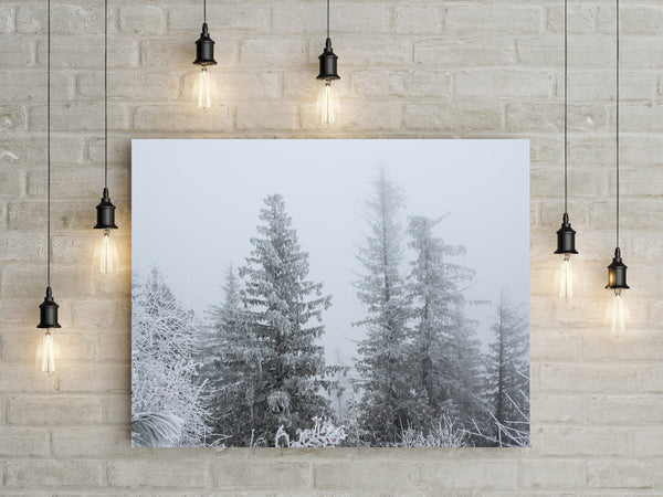 Snowy Winter Forest Photo Print Idaho Nature Photography