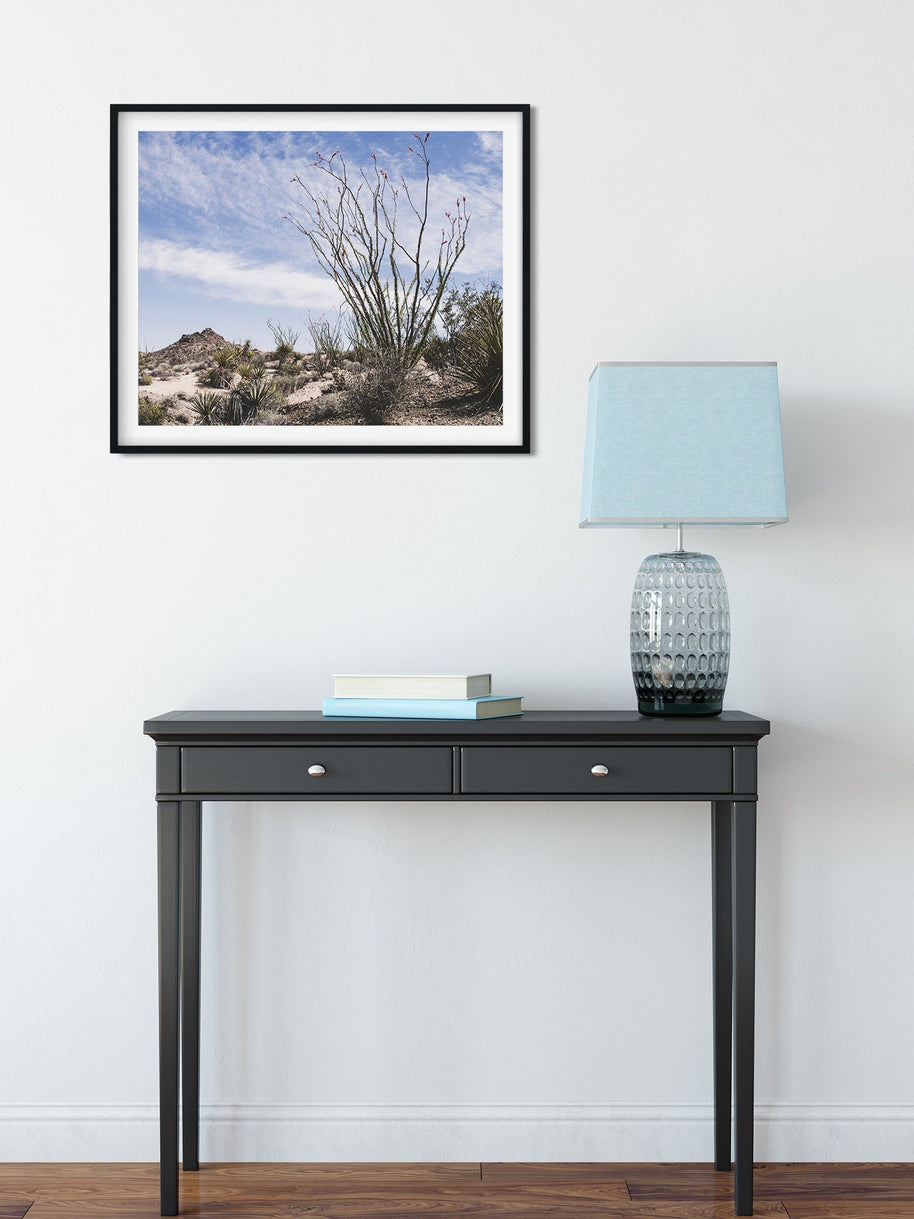 Ocotillo Mojave Desert Photo Print Cactus Fine Art -