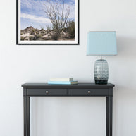 Ocotillo Mojave Desert Photo Print Cactus Fine Art -