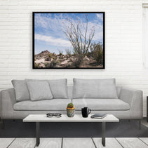 Ocotillo Mojave Desert Photo Print Cactus Fine Art -