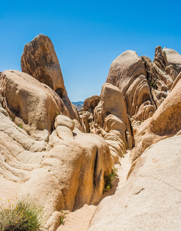 Joshua Tree Rocks Desert Photography Southern California
