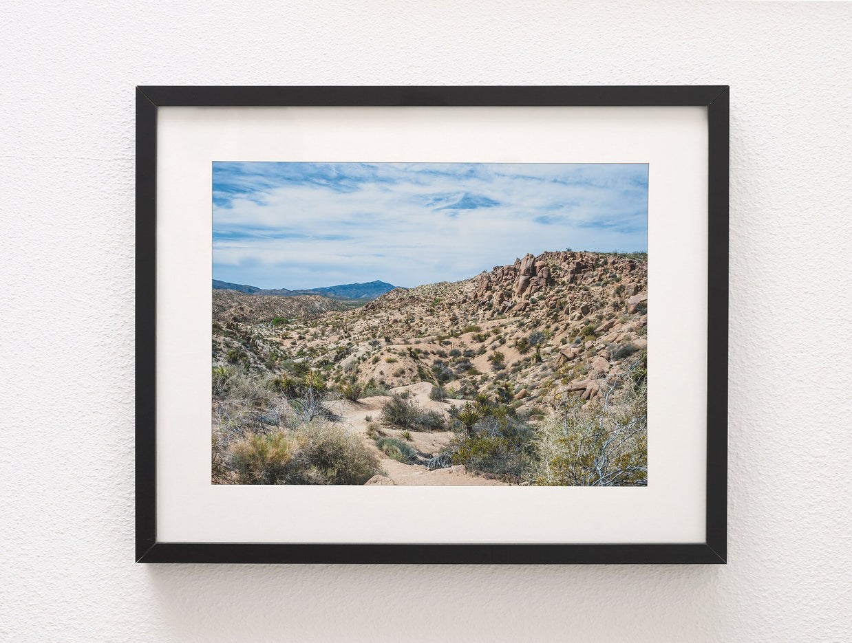California Mojave Desert Photography Southern