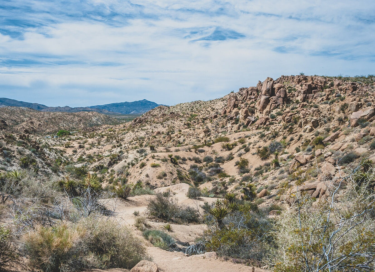California Mojave Desert Photography Southern