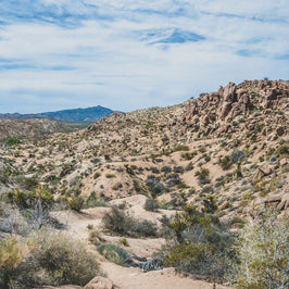 California Mojave Desert Photography Southern