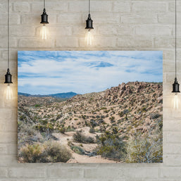 California Mojave Desert Photography Southern