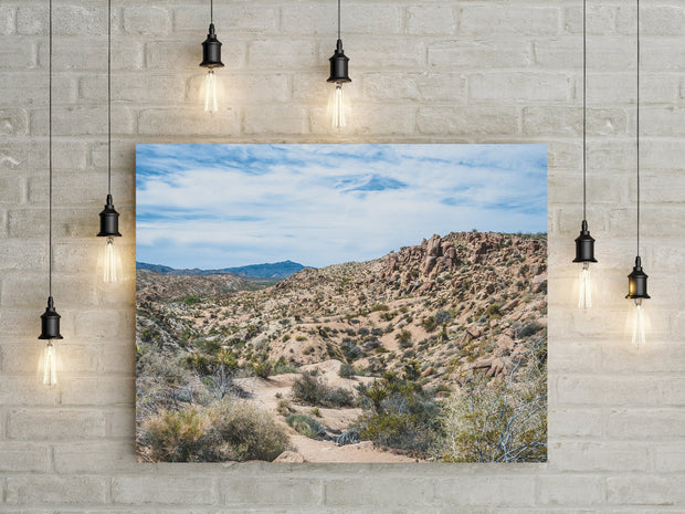 California Mojave Desert Photography Southern