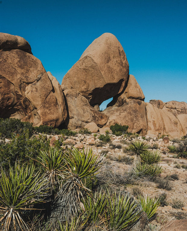 Desert Dome Photo Print Joshua Tree National Park