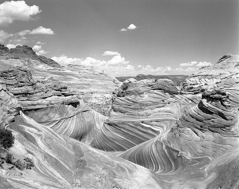 The Wave Black and White Photography Arizona Utah Large