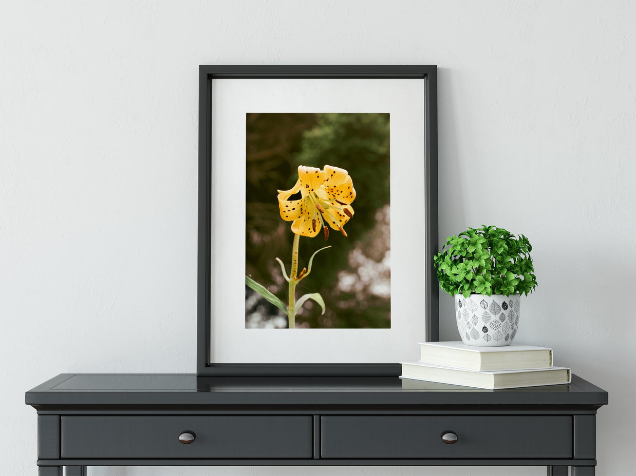 Tiger Lily Wildflower Photography Forest Scene Nature Wall