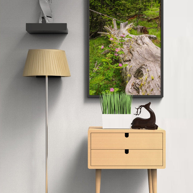 Wild Roses Photo Print Forest Scene Nature Photography