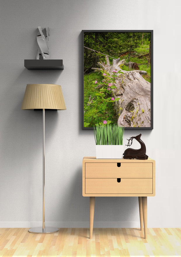 Wild Roses Photo Print Forest Scene Nature Photography