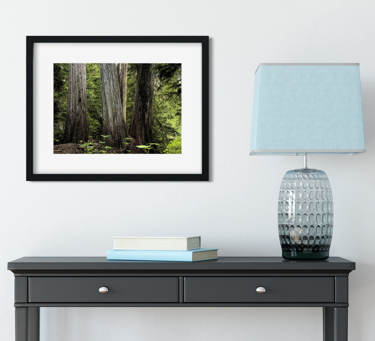 Pacific Northwest Cedar Forest Photo Print Nature