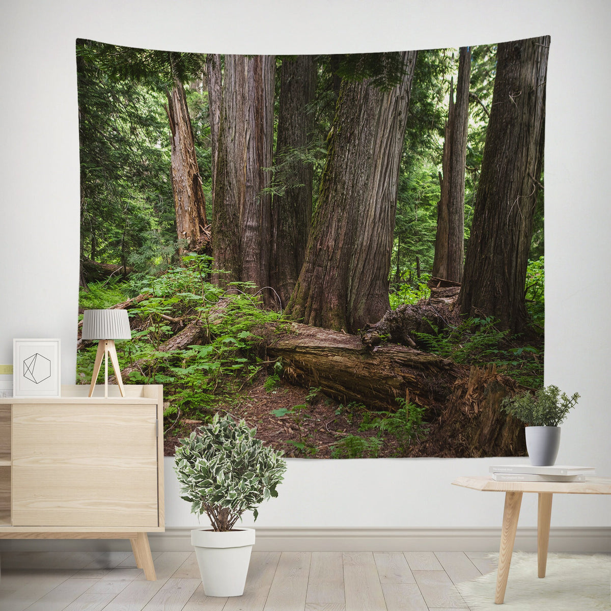 Mysterious Cedar Forest Wall Tapestry - Decorative