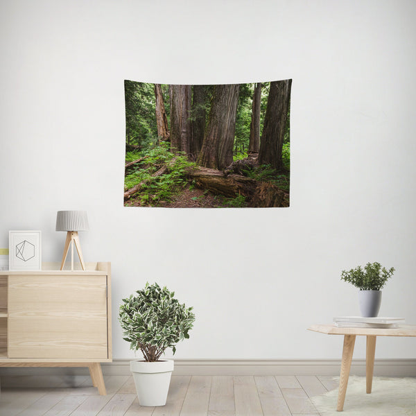Mysterious Cedar Forest Wall Tapestry - Decorative