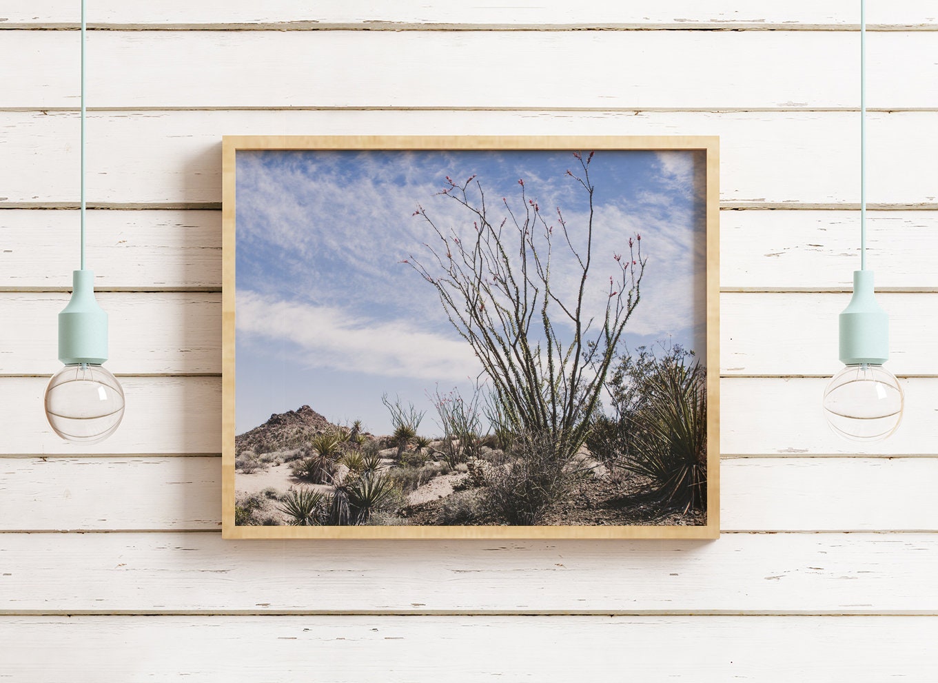 Ocotillo Mojave Desert Photo Print Cactus Fine Art -