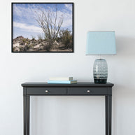 Ocotillo Mojave Desert Photo Print Cactus Fine Art -