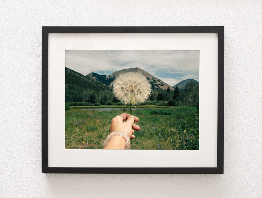 Wishes Nature Photography La Sal Mountains