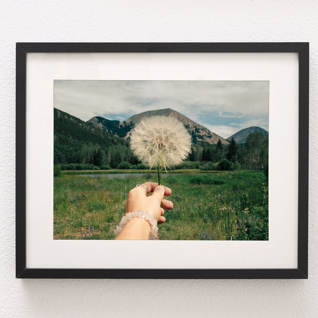 Wishes Nature Photography La Sal Mountains