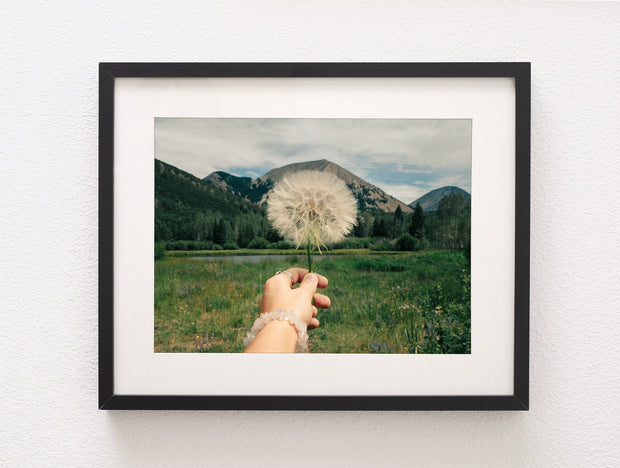 Wishes Nature Photography La Sal Mountains