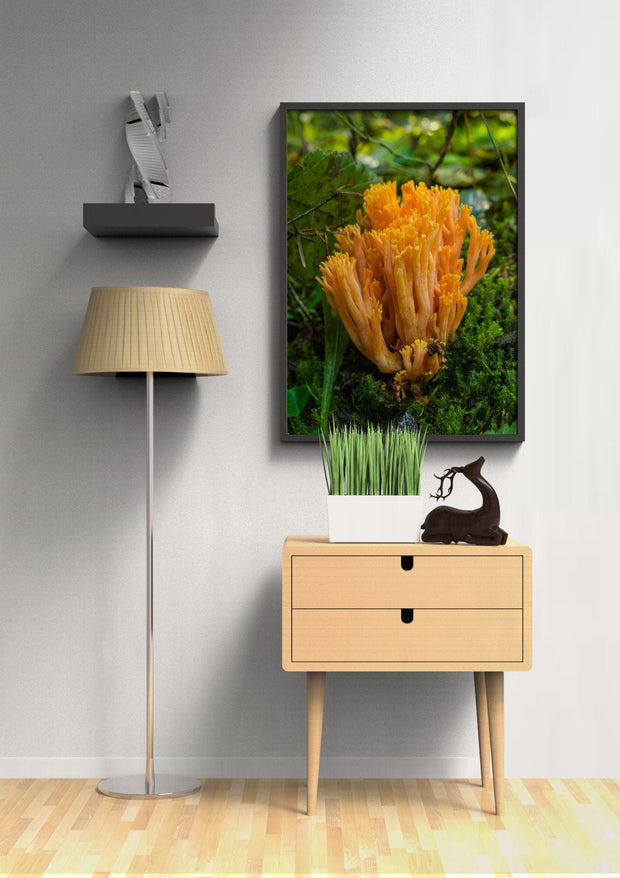 Colorful Coral Mushroom Photography Pacific Northwest
