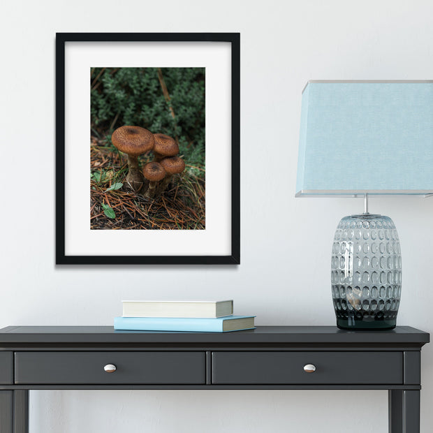 Mushroom Photo Print Cute Woodland Photography
