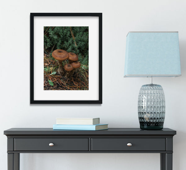 Mushroom Photo Print Cute Woodland Photography