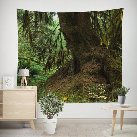 Mossy Tree and Roots Olympic National Park Wall Tapestry -