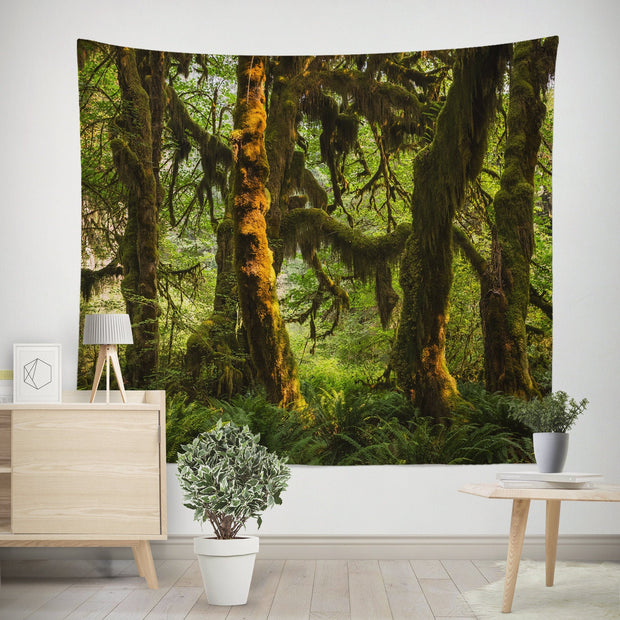 Hanging Moss Forest Tapestry Pacific Northwest Olympic