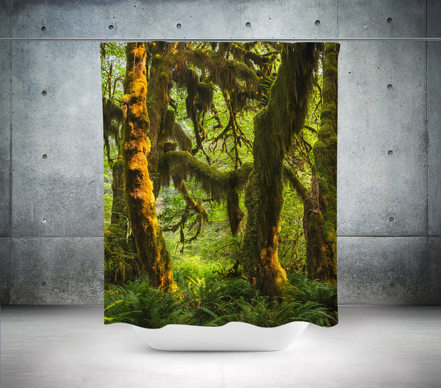 Mossy Forest Shower Curtain 71x74 inch Olympic National Park