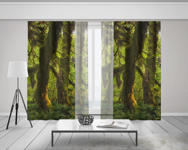Mossy Forest Window Curtains 50x84 Sheer or Blackout - &