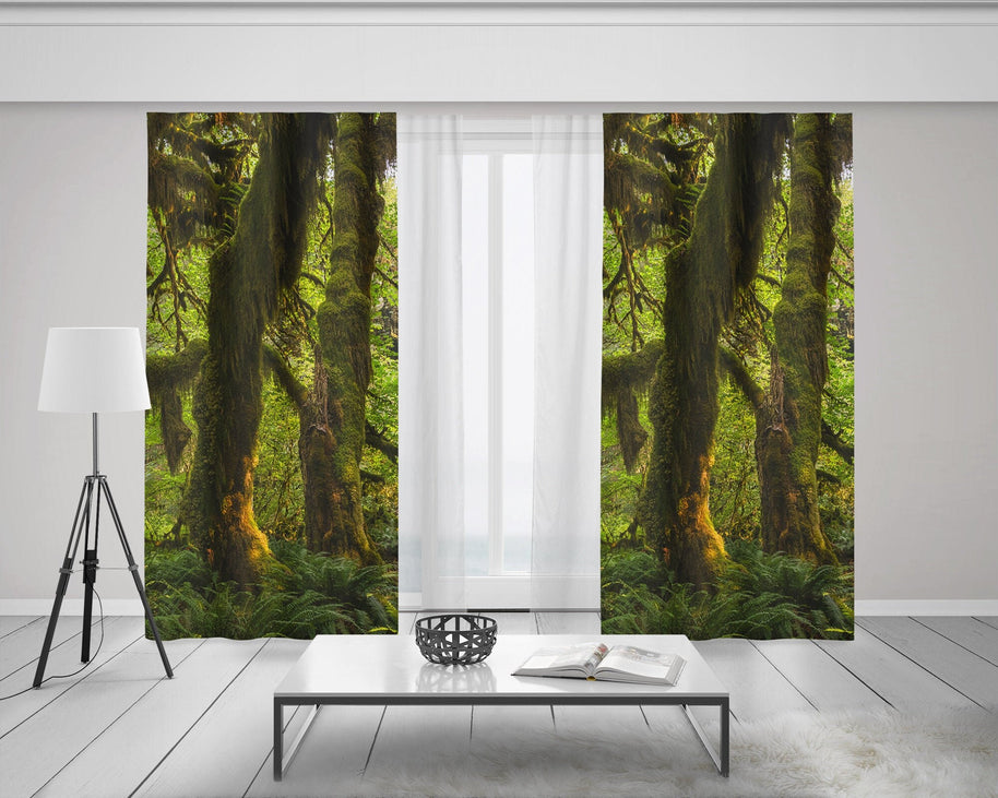 Mossy Forest Window Curtains 50x84 Sheer or Blackout - &