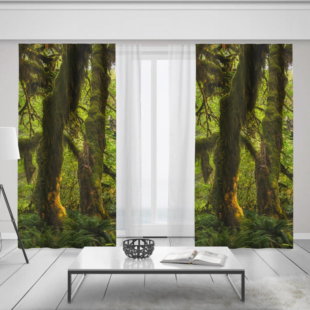 Mossy Forest Window Curtains 50x84 Sheer or Blackout - &