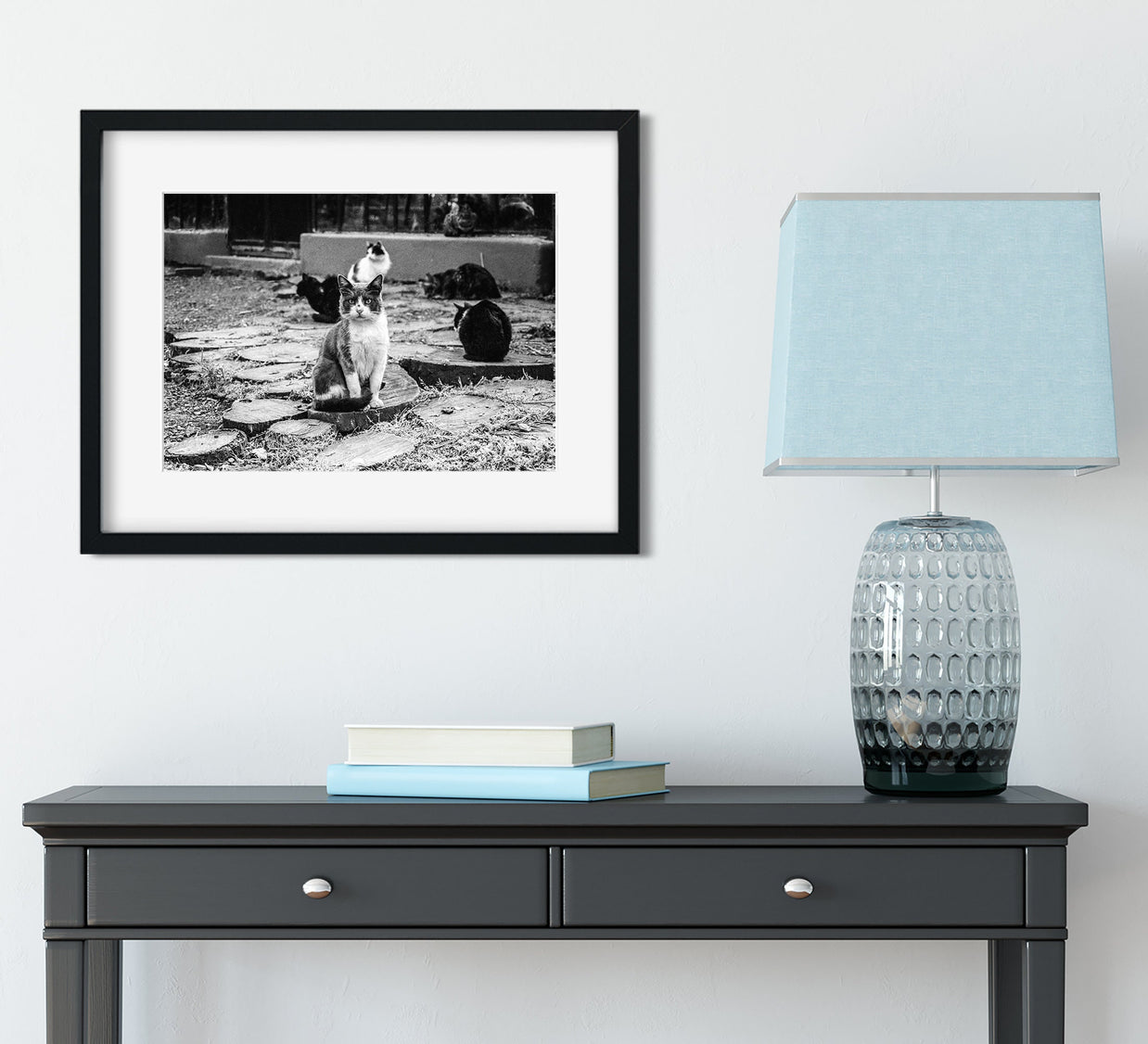 Stray Cats Film Photography Print Buenos Aires Argentina