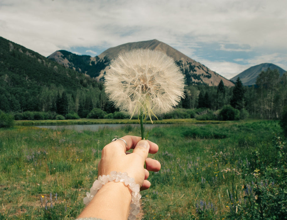 Wishes Nature Photography La Sal Mountains