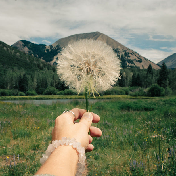 Wishes Nature Photography La Sal Mountains