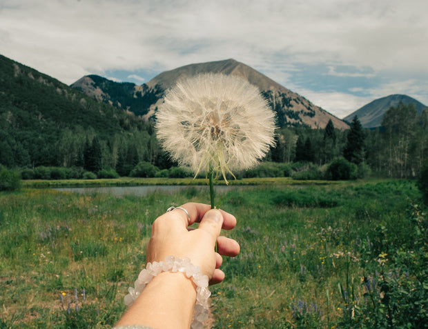 Wishes Nature Photography La Sal Mountains