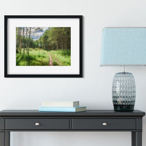 Mountain Trail Photo Print Aspen Forest Photography Hiking