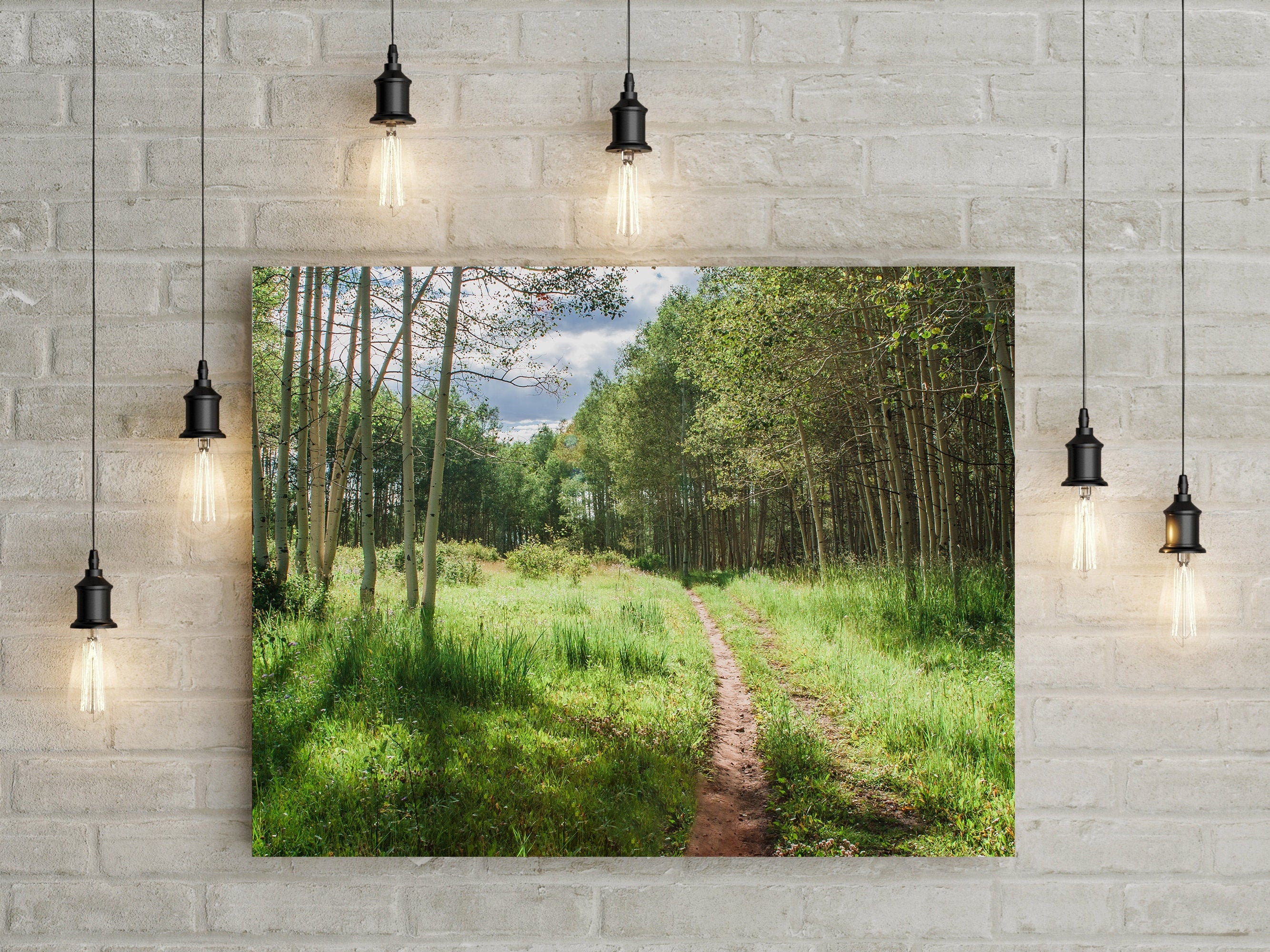 Mountain Trail Photo Print Aspen Forest Photography Hiking