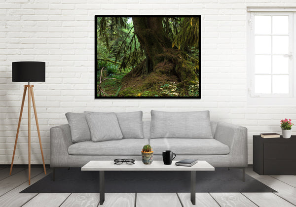 Mossy Tree Photo Print Olympic National Park Forest -