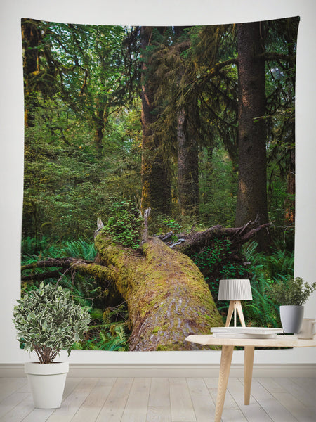 Fallen Tree Olympic Forest Wall Tapestry - Decorative