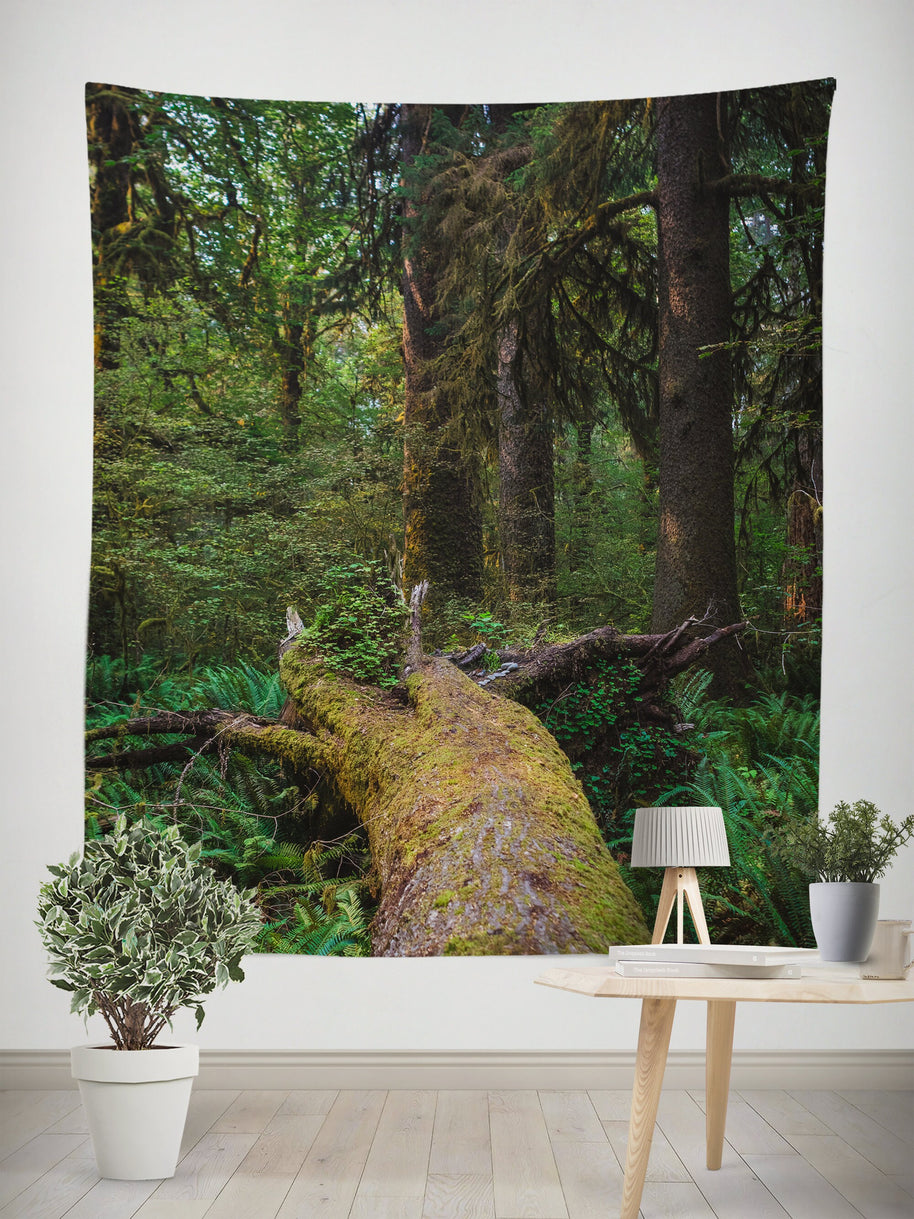 Fallen Tree Olympic Forest Wall Tapestry - Decorative
