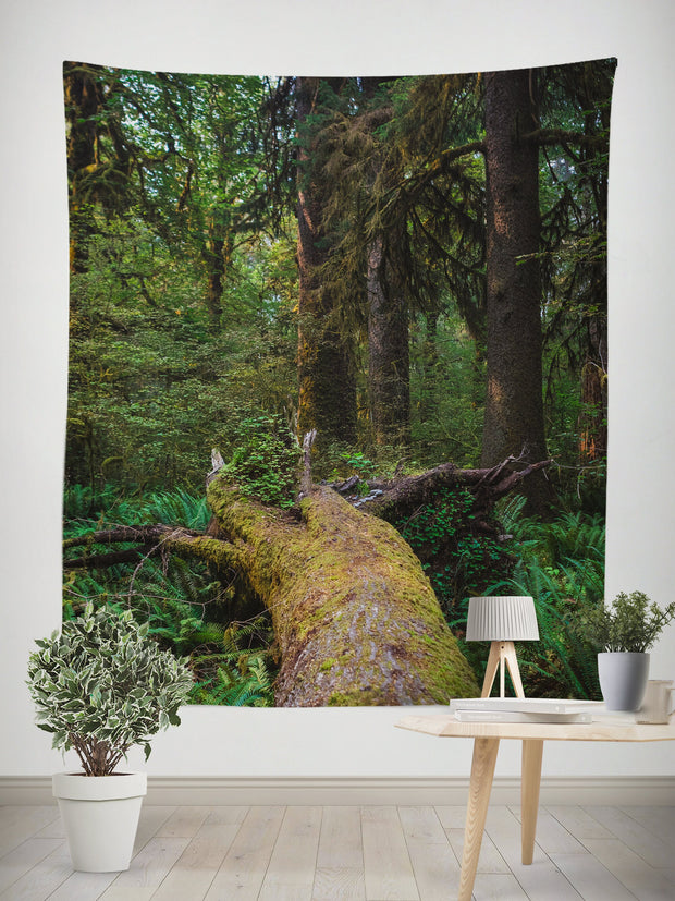 Fallen Tree Olympic Forest Wall Tapestry - Decorative