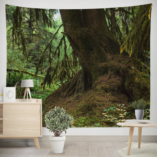 Mossy Tree and Roots Olympic National Park Wall Tapestry -