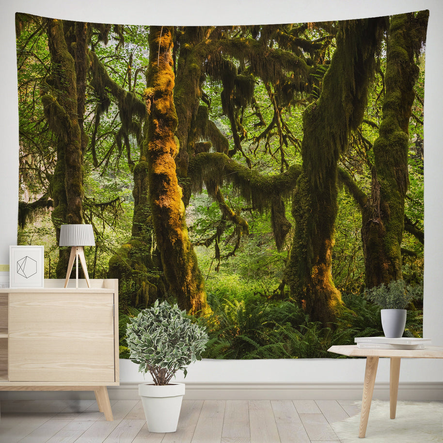 Hanging Moss Forest Tapestry Pacific Northwest Olympic