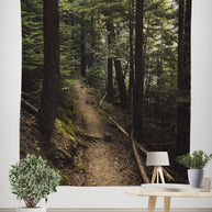 Cedar Forest Hike Nature Wall Tapestry - Decorative