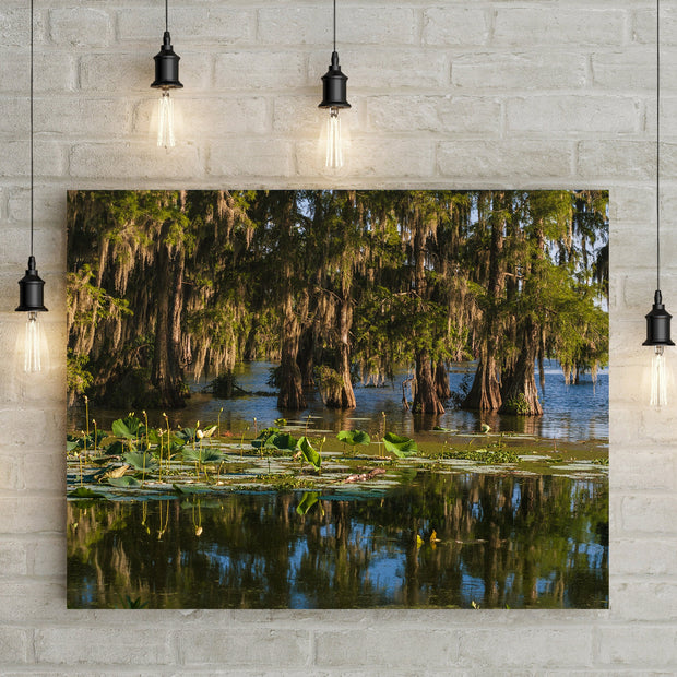 Cypress Bayou Photo Print Louisiana Nature Photography